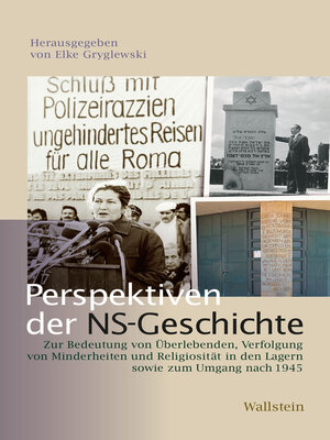 cover image of Perspektiven der NS-Geschichte
